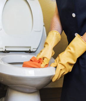 Как избавиться от налета, известковых отложений и ржавчины в туалете: