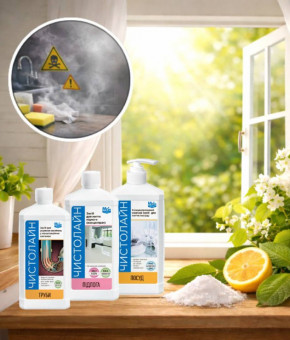 Як побутова хімія впливає на здоров'я і як вибрати безпечні засоби для дому Як побутова хімія впливає на здоров'я і як вибрати безпечні засоби для дому