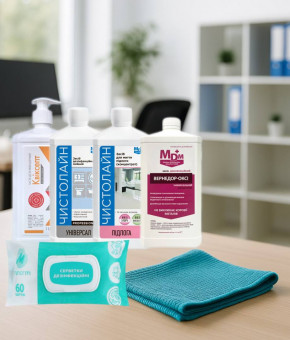 TOP-5 Modern Means for Wet Cleaning of the Home and Office